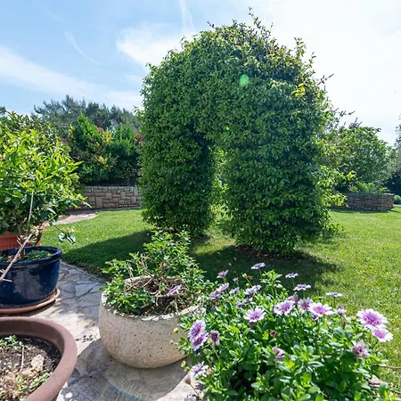 Apartman With Parking Space - 2252 *